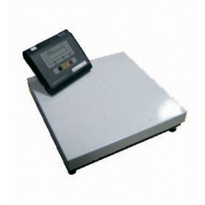 Весы электронные товарные ВН-200-1-А (СИ) (400х400)