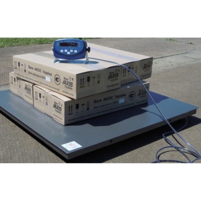 Платформна низькопрофільна вага 4BDU300-1012 бюджет 1000х1250 мм (до 300 кг)