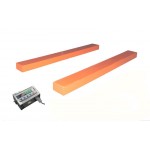 Ваги стрижневі вологозахищені ТВ4-1000-0,5-P(1200х90)-12h Ваги стрижневі вологозахищені ТВ4-1000-0,5-P(1200х90)-12h