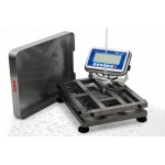 Вологозахищені товарні ваги Hercules СНВм-60А20 (до 60 кг) Вологозахищені товарні ваги Hercules СНВм-60А20 (до 60 кг)