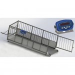 Весы для свиней AXIS 4BDU 300X-0615 Бюджет до 300 кг