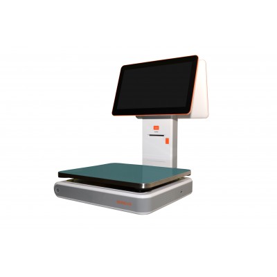 Rongta Aurora Y1 PC based ваги самообслуговування